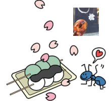 足立区